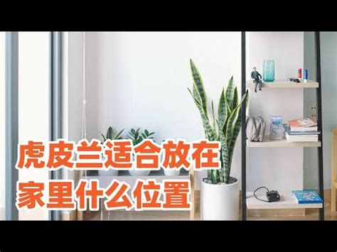 房間可以放娃娃嗎|房間風水怎麼擺？避開10大房間風水禁忌，讓你好眠又。